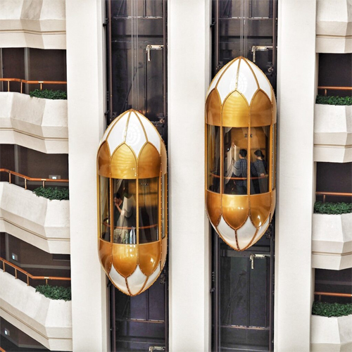 Panoramic Capsule Elevator - Material: Stainless Steel