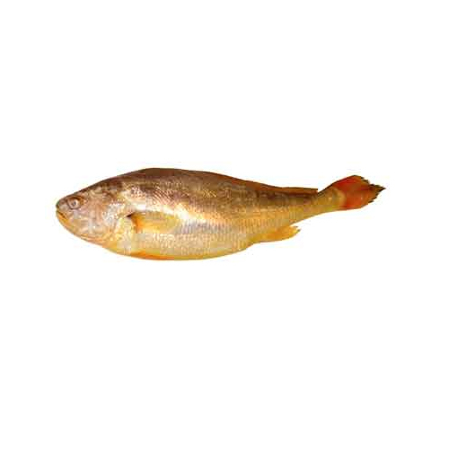 Yellow Croaker - Packaging: Barrel