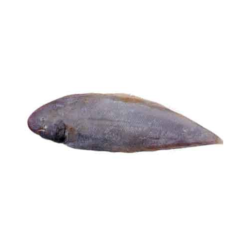 Sole Fish - Packaging: Barrel
