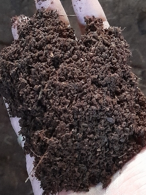 Loose Cocopeat - Attributes: Eco-Friendly