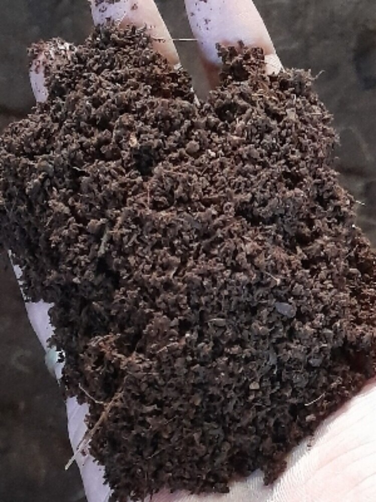 Loose Cocopeat - Attributes: Anti-Bacterial