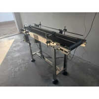SS Customized Printing Conveyor