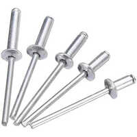 Stainless Steel Pop Rivet - Color: Silver