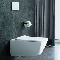With Set Cover Wall Hung Water Closet - Color: White