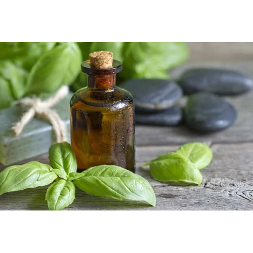 Indian Basil Oil - Age Group: All Age Group