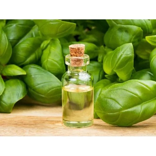 Indian Basil Oil - Age Group: All Age Group