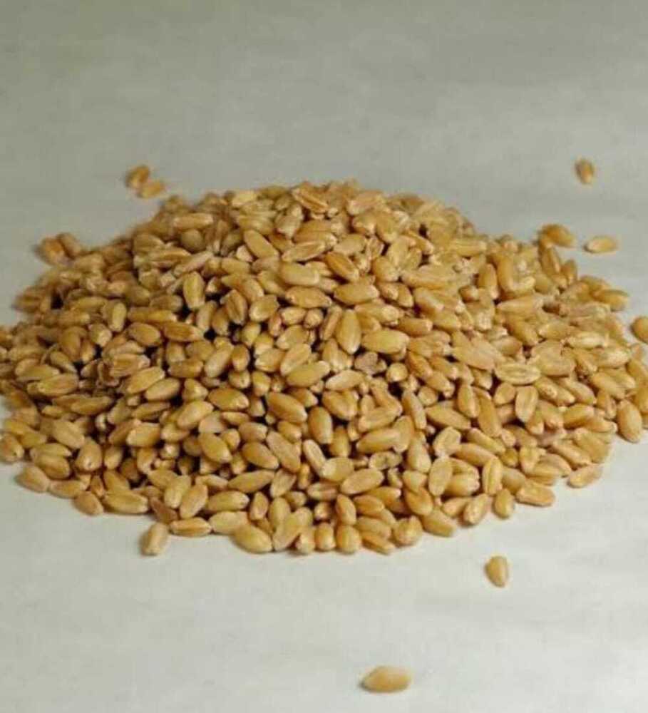Milling Wheat