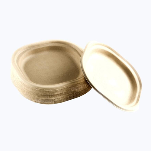 Areca Disposable Plate - Application: Used In Hotel