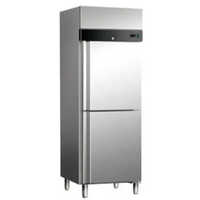 2 Door Vertical Freezer - Capacity: 600 Ltr