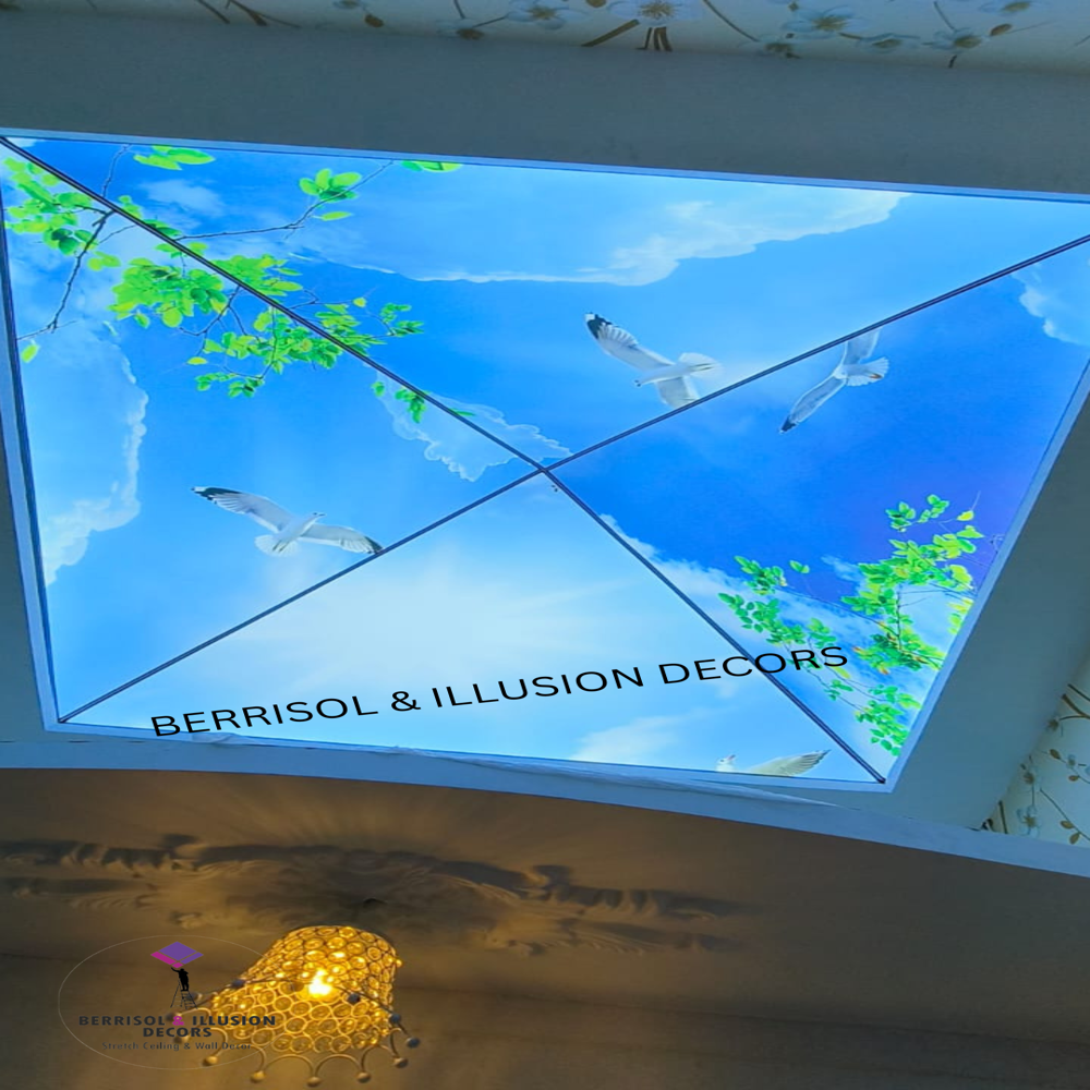 3d Stitching Ceiling