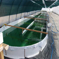 Plastic Capsule Tank - Capacity: Requirement Based Ltr