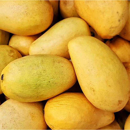 ताज़ा आम