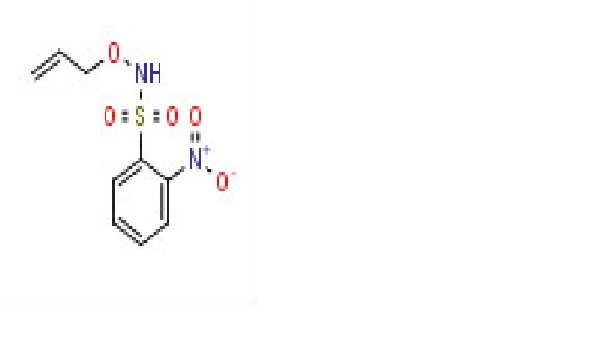 N-(Allyloxy)-2-nitrobenzene sulfonamide