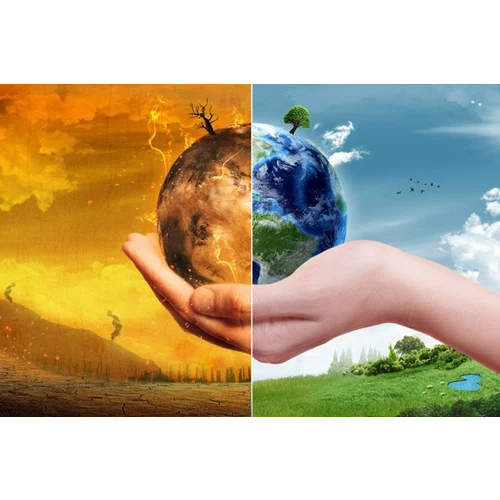 Environmental Consultancy Services