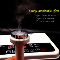 Mini Ultrasonic Spot Removal 3 in 1