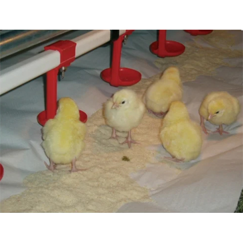 Poultry Paper Brooding Paper Chick Paper For Poulty Farming - Feature: Moisture Proof