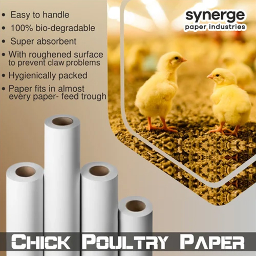 Chick Attraction Feeding Paper