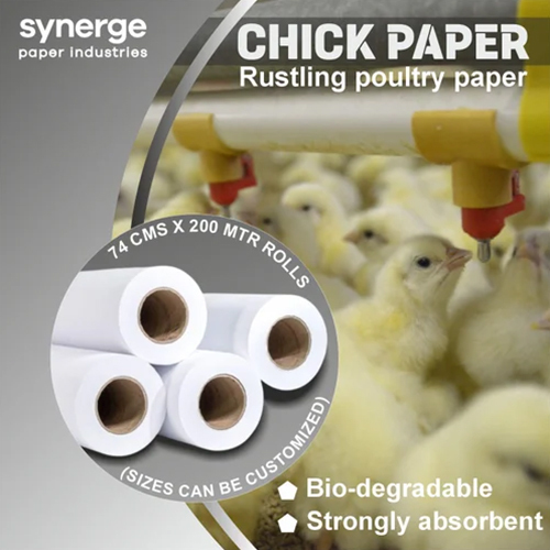 Chick Brooding Paper Rolls - Feature: Moisture Proof