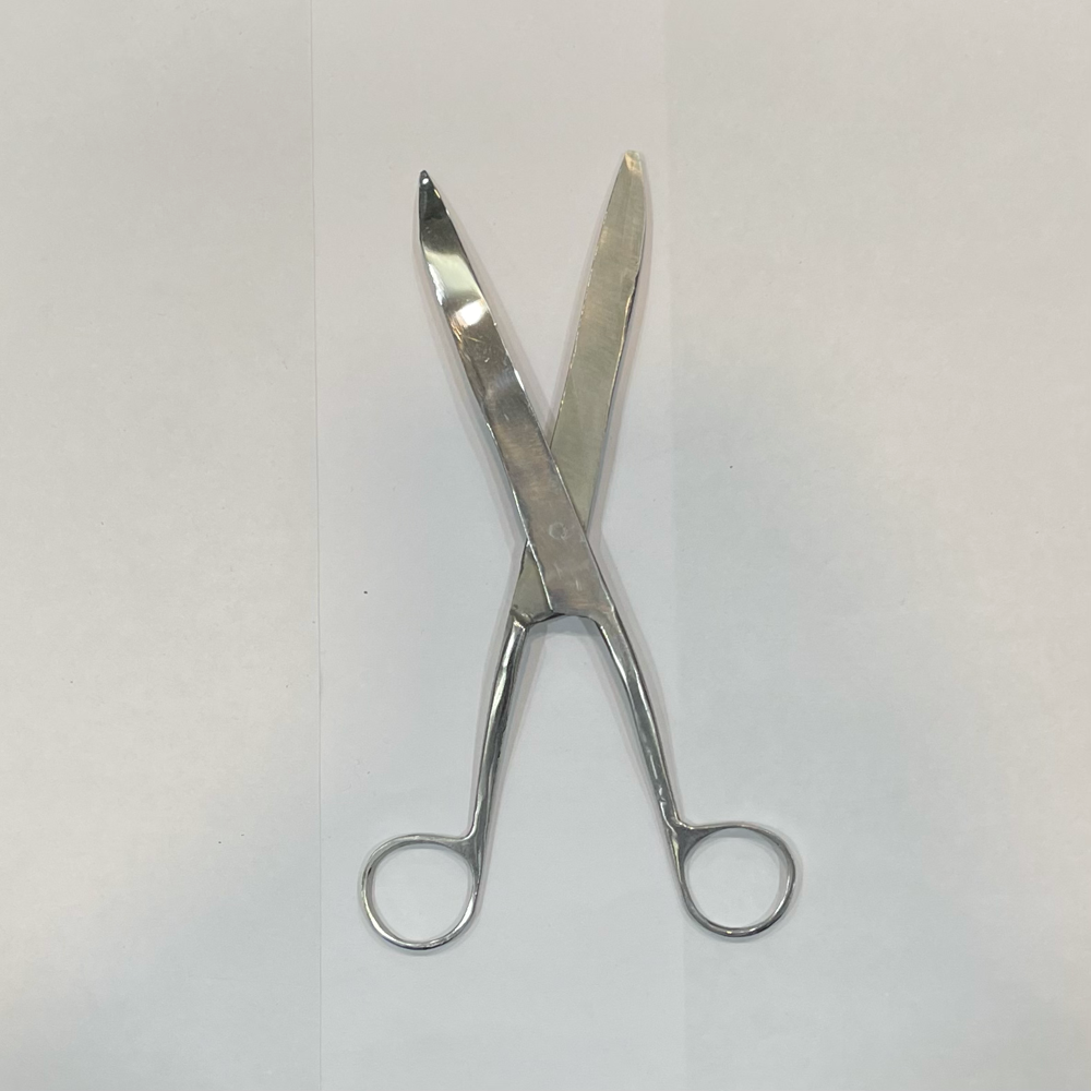 CLIPPING SCISSOR - 10