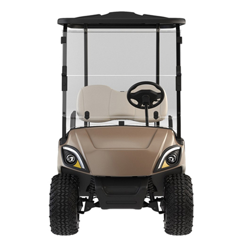 LoveBird 2S Electric Golf Cart