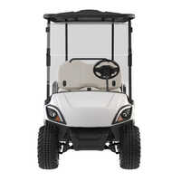 Electric Golf Passenger Cart