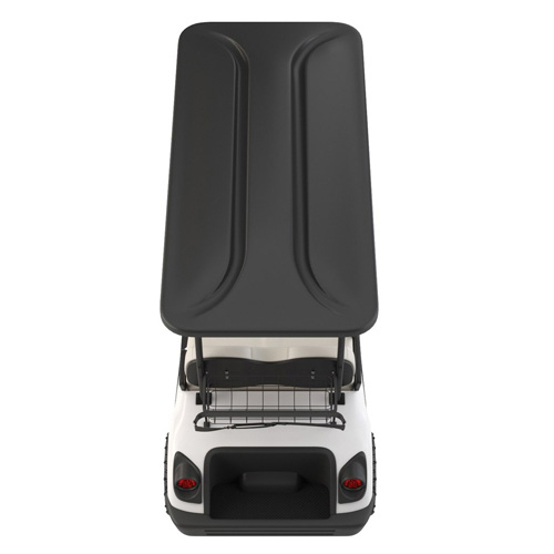 Electric Golf Passenger Cart