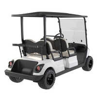 LoveBird 4S Electric Golf Cart