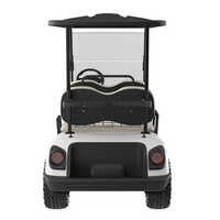 LoveBird 4S Electric Golf Cart