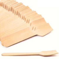 Disposable Wooden Ice Cream Spoon