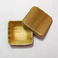 Disposable Areca Leaf Food Container
