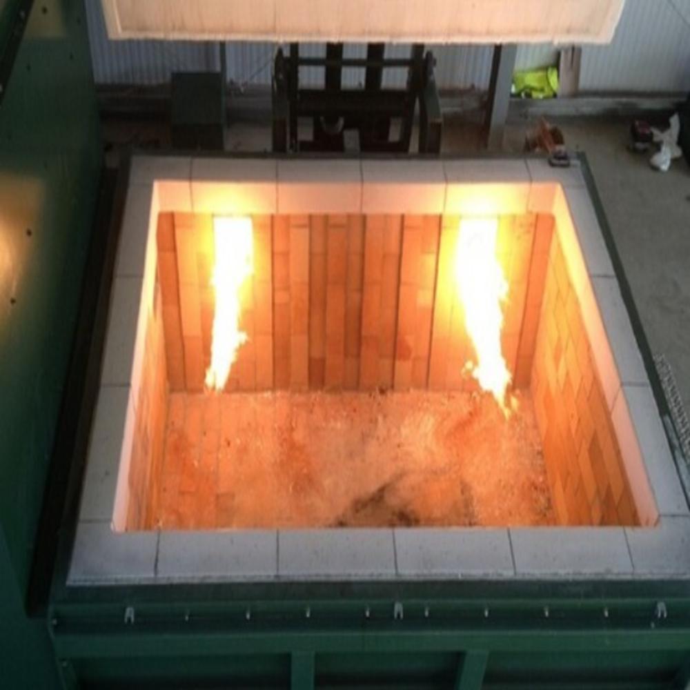 Animal Gas Cremation Furnace (OSSPL-AG)