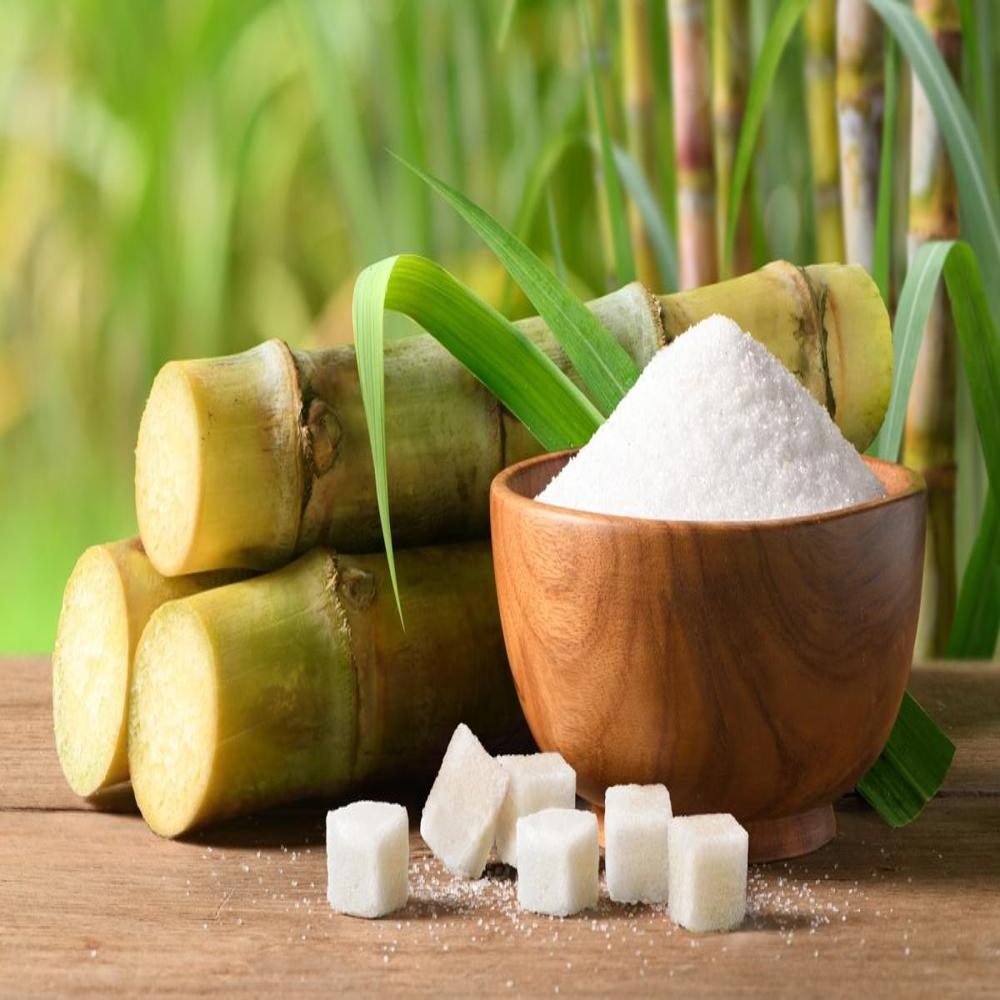 100% Brazil Sugar ICUMSA 45/White Refined Sugar for Sale