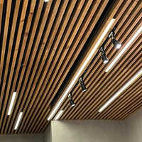 Metal Linear Ceiling