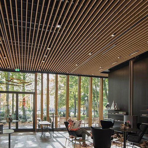 Metal Linear Ceiling