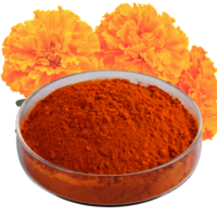 Mix Carotenoids Powder