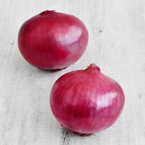 Garva Onion - Moisture (%): 5% - 10%