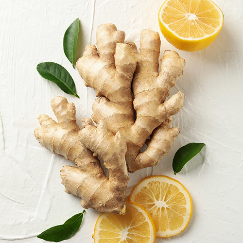Fresh Ginger - Moisture (%): 5% - 10%