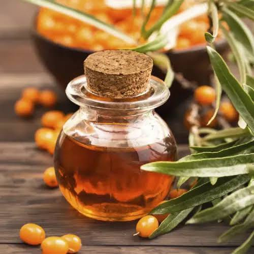 Natural Sea Buckthorn Oil - Cultivation Type: Common