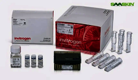Thermo Fisher Scientific Invitrogen Neon NxT Electroporation System 100-microliter Kit with 1-Channel Tubes