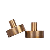 Bronze Plunger Casting - Surface: Polished