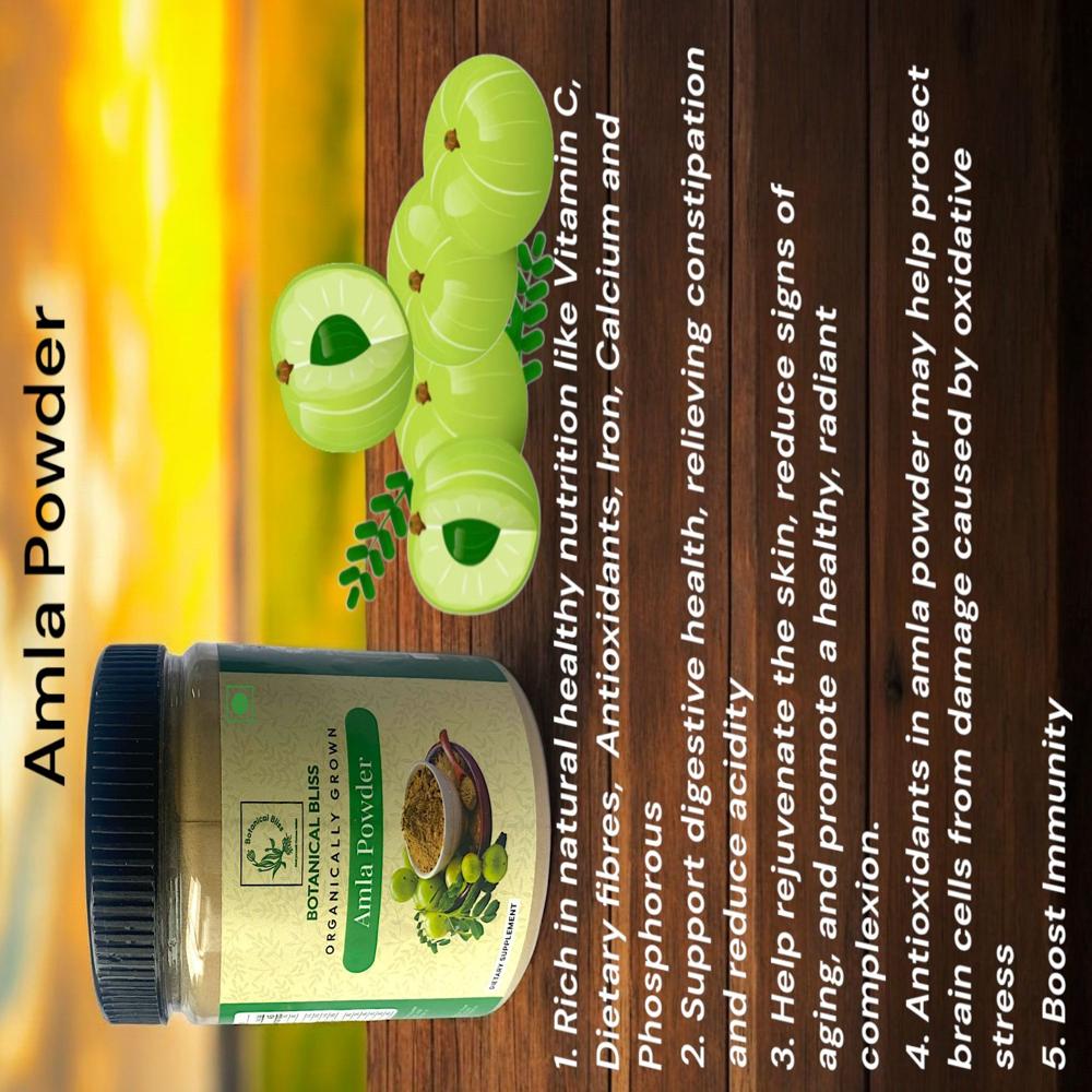 Amla Powder - 300gm Pack - Origin: India