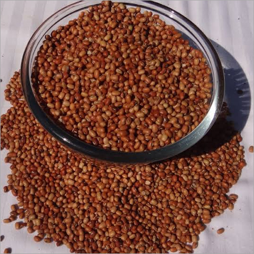 Pigeon Peas