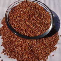 Pigeon Peas
