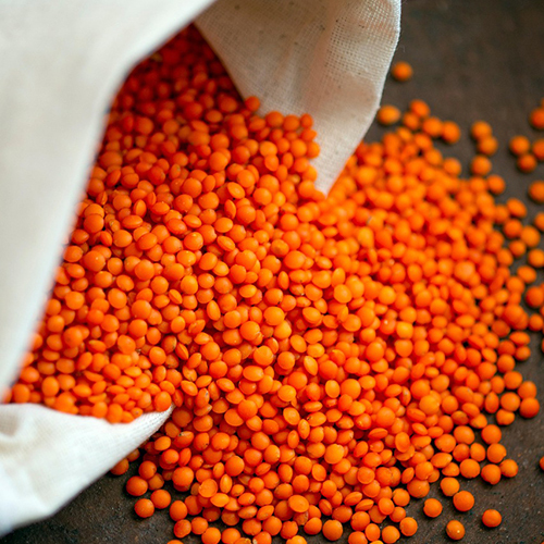Red Lentils