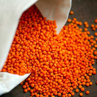 Red Lentils