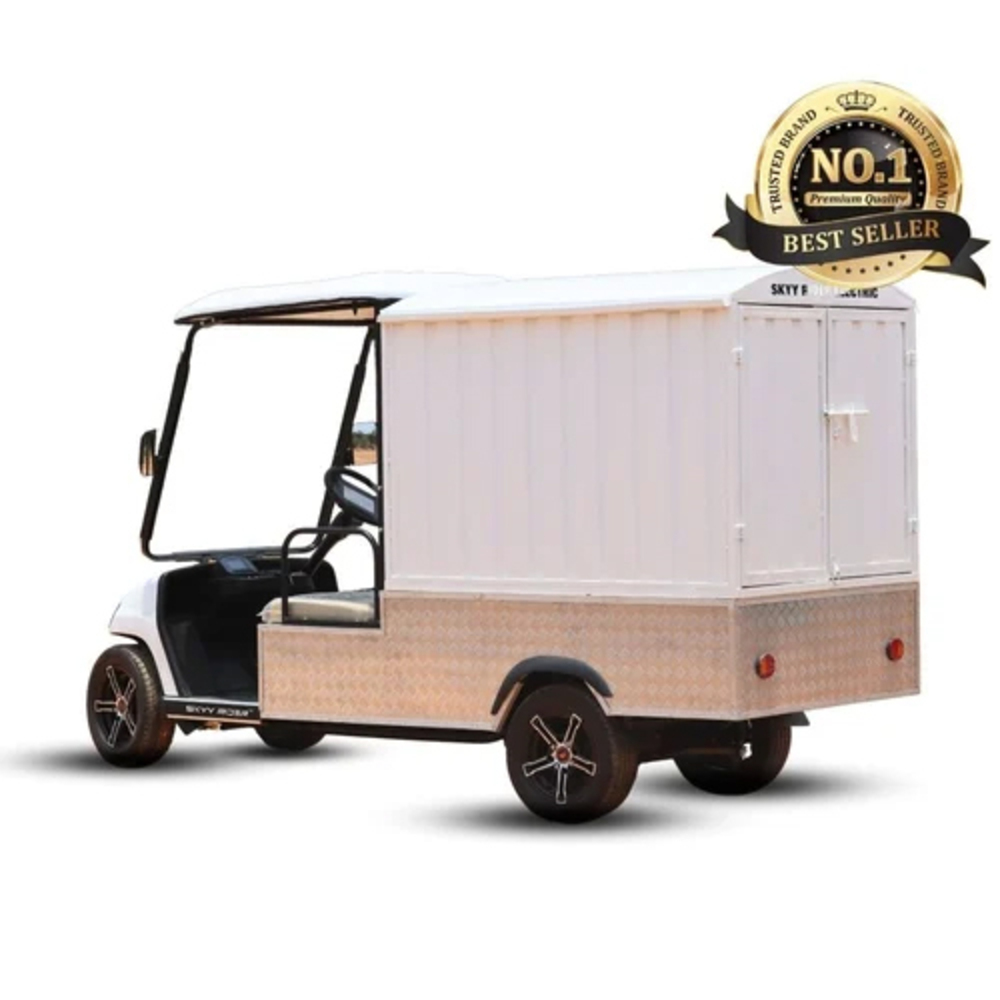 2 Seater Golf Cart Delivery Van