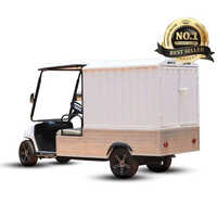2 Seater Golf Cart With Cargo Box