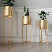 Pvd Coating Plant - Color: Gold Glossy