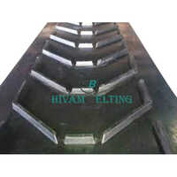 Chevron Conveyor Belt - Material: Rubber