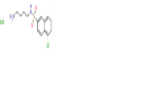 N-(4-Aminobutyl)-5-chloro-2-  naphthalenesulfonamide hydrochloride